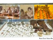 Ingreso Libre! Museo Municipal “Oscar Velasco Meza