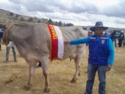 Ispalla 2023 «La mejor feria a nivel del sur de la región de Puno y el Perú
