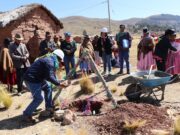 🔴👨👦👦¡Comprometidos con la educación! 🏫👩🏫Nuestra primera autoridad provincial, Ing. Victor Raúl Anchapuri Zapata, dio por iniciado al proyecto “Construcción de aula de educación inicial en el (la) I. E. Calliri de la comunidad de Calliri, del centro poblado de Caspa, del distrito de Juli, provincia de Chucuito, departamento de Puno”, con un plazo de ejecución de 60 días calendarios. La ceremonia de inicio se realizó este 24 de junio en la comunidad en mención.