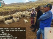 MUNICIPALIDAD PROMUEVE ASISTENCIA TECNICA EN LA PROVINCIA DE CHUCUITO