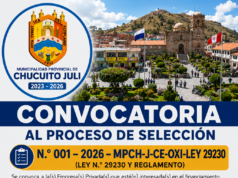 CONVOCATORIA DEL PROCESO DE SELECCIÓN DE LA EMPRESA PRIVADA